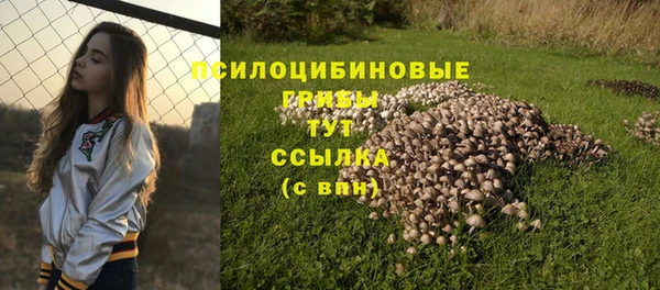 прущая мука Орск