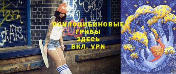 mdpv Мегион