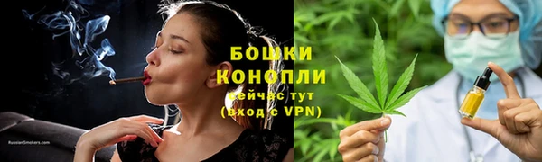 ГАЛЛЮЦИНОГЕННЫЕ ГРИБЫ Медногорск